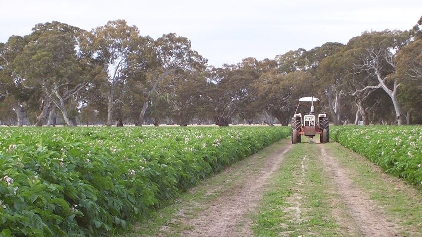 Tractor on farm (Kevin Lock: user submitted)