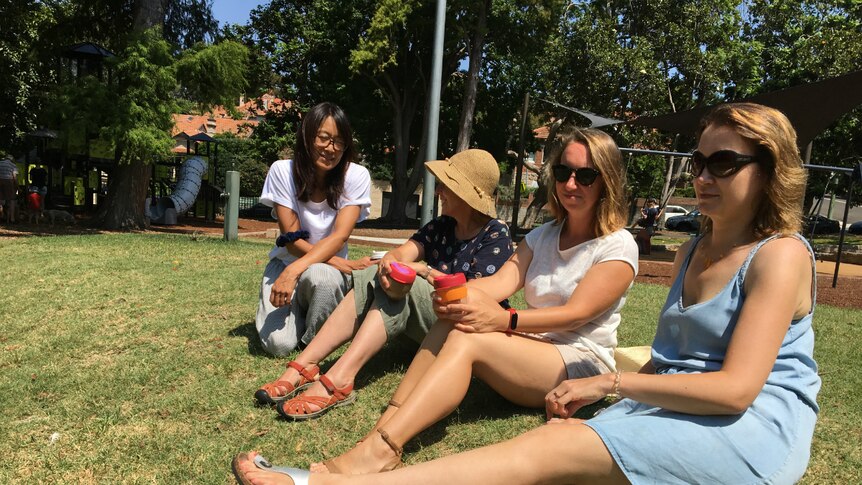 A group of women sitting on the grass at a park at Mosman on Sydney's north shore.