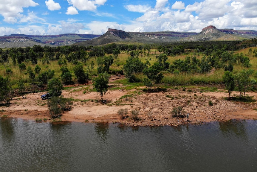 A river with a forest and mountains in the background.