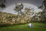 A small tent in a grassy field next to a river, with a rainbow and gum trees in the background.