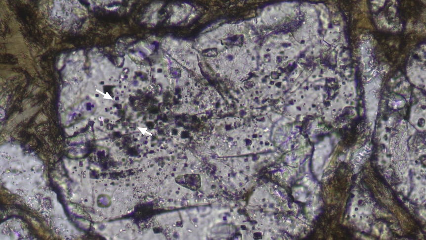 A photo taken from a microscope shows metamorphic diamonds in rocks