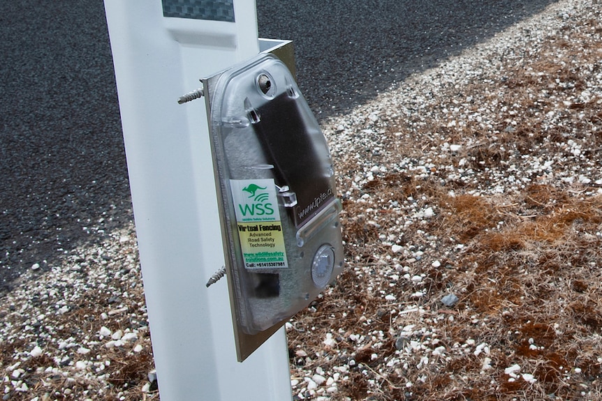 electronic sensor mounted on a white roadside warning post 
