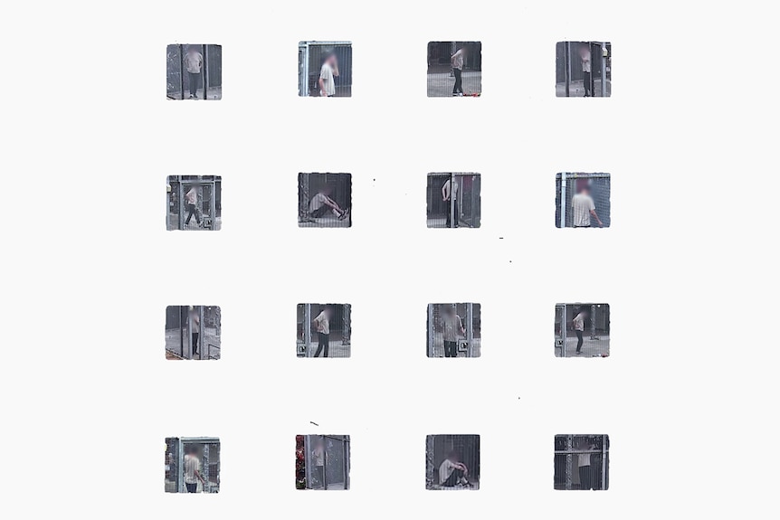 An array of squares with images from CCTV of Adrian in his caged outdoor area.
