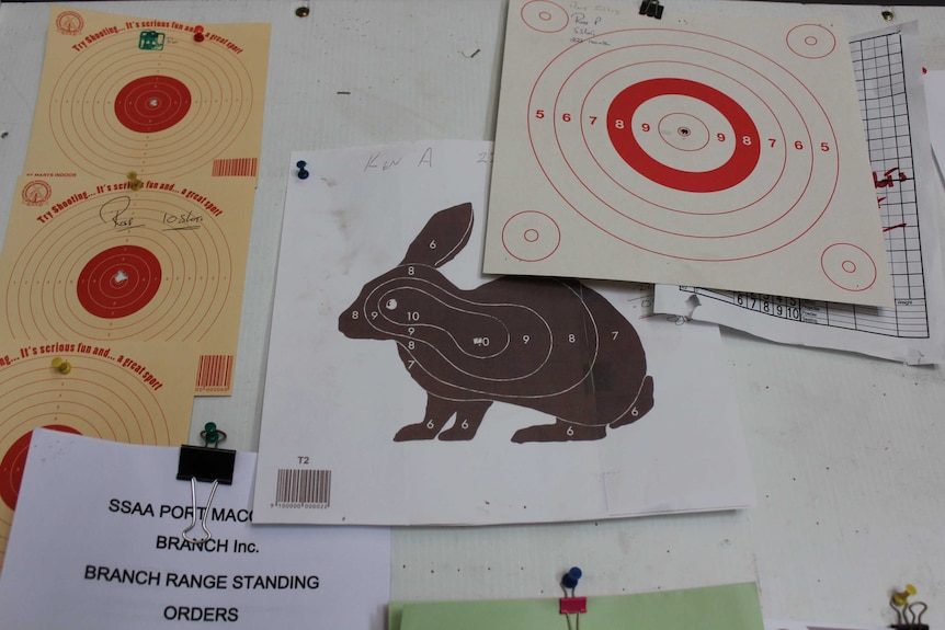 Image of target shooting pages with bullet holes.