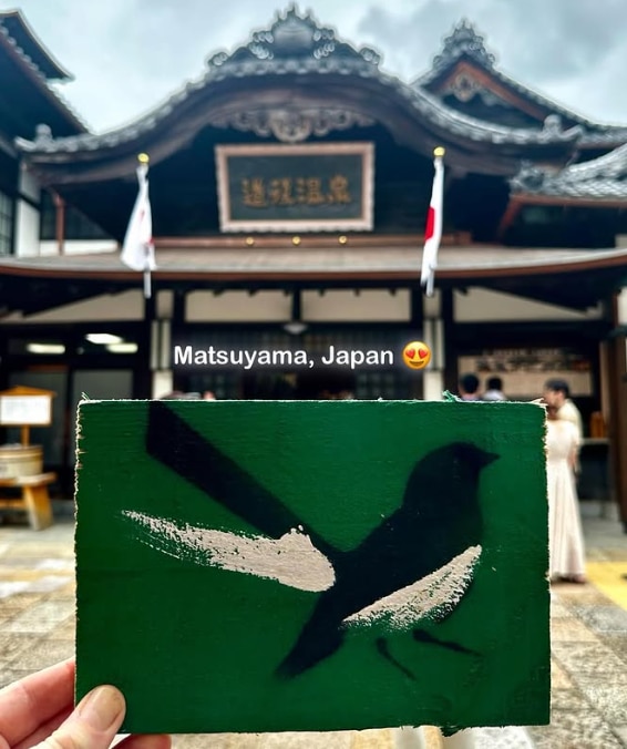 One of Mike McLean's willie wagtail paintings pictured in Japan.