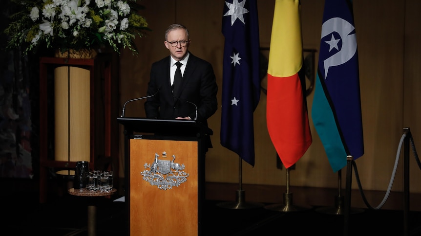 Anthony Albanese stands at a lectern speaking with flags behind him. 