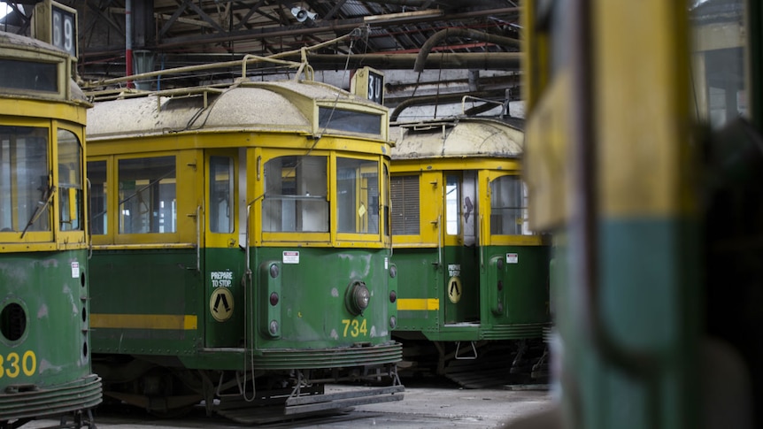Three old yellow and green trams in a warehouse.