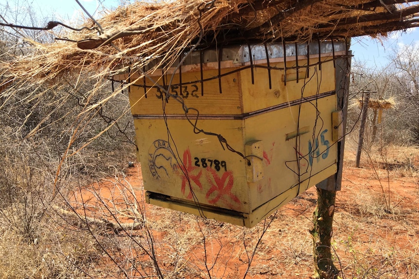 A beehive fence in Tsavo, Kenya
