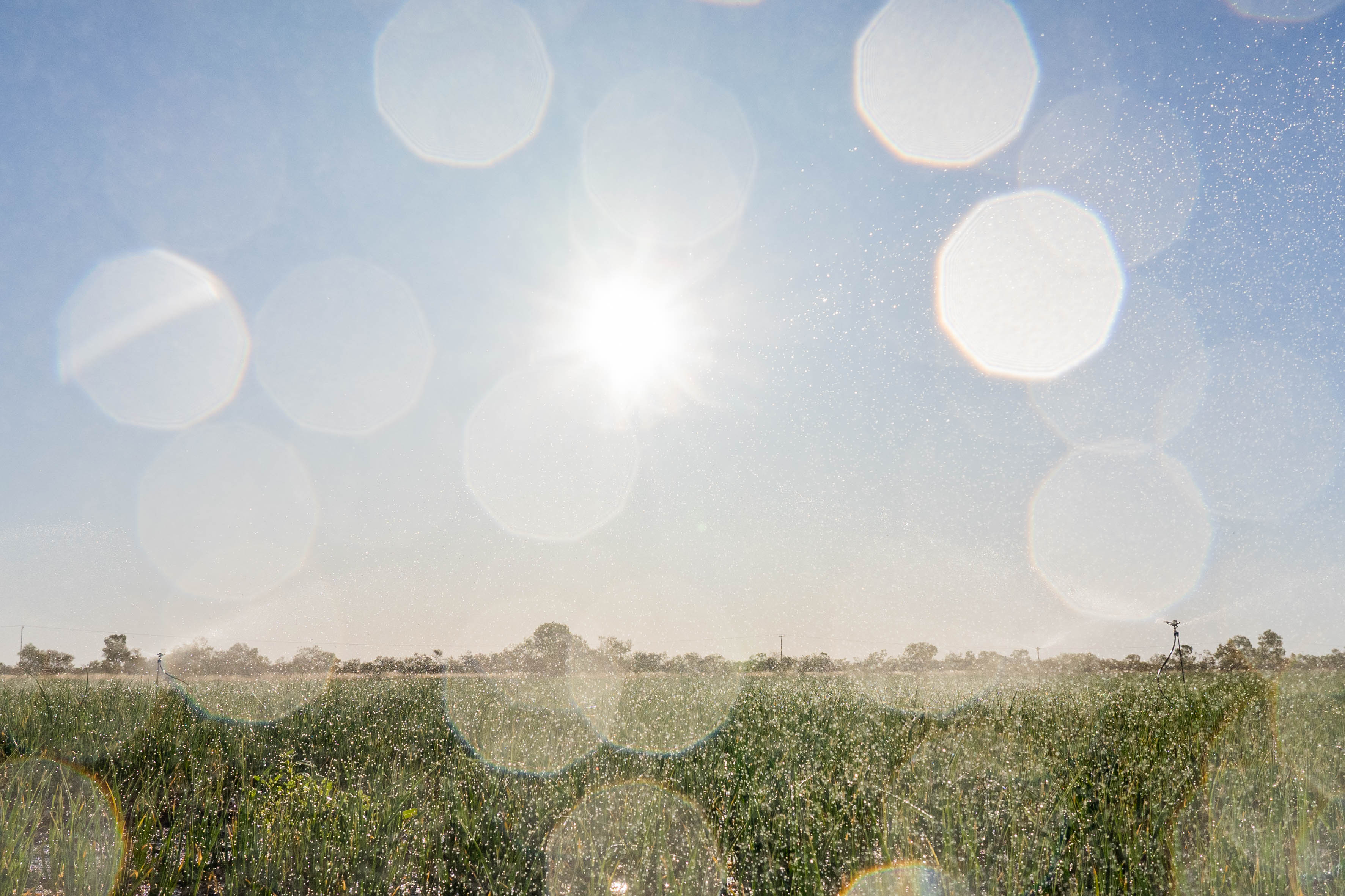 actualités Eau sur l'agriculture