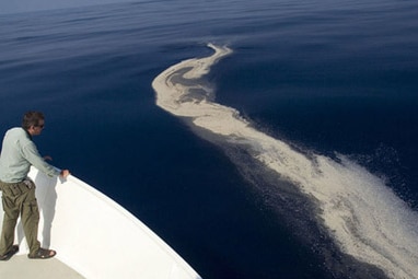 Timor Sea Oil Slick (wwf.org.au)