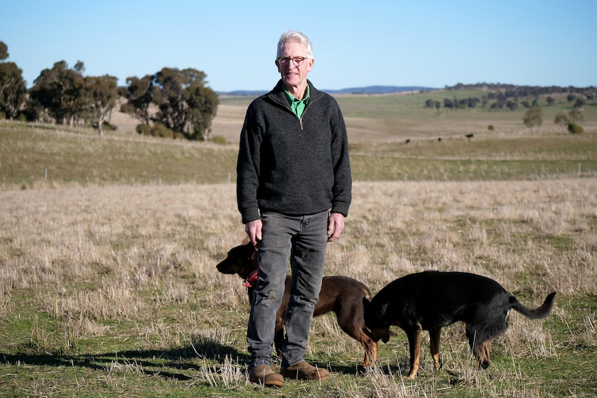 Stan stands in a paddock with his two dogs. He is wearing a black jumper and grey trousers.