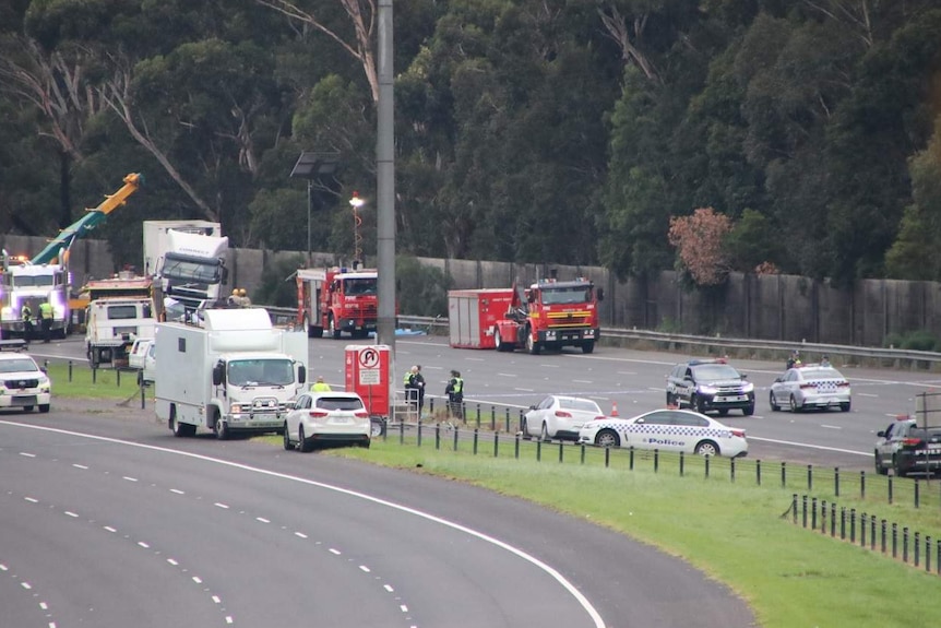 Police cars and fire engines block off a highway and establish a crime scene on a grey morning.