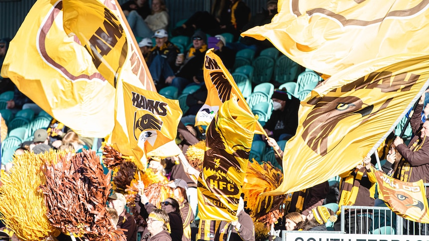 Yellow and brown flags and pom poms are waved in front of green chairs at a football match