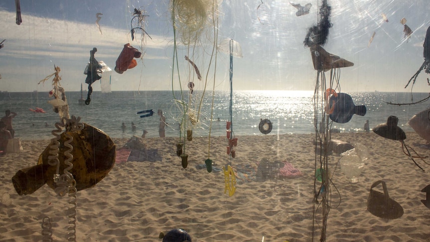 beach trash hangs in a perspex box 'aquarium'