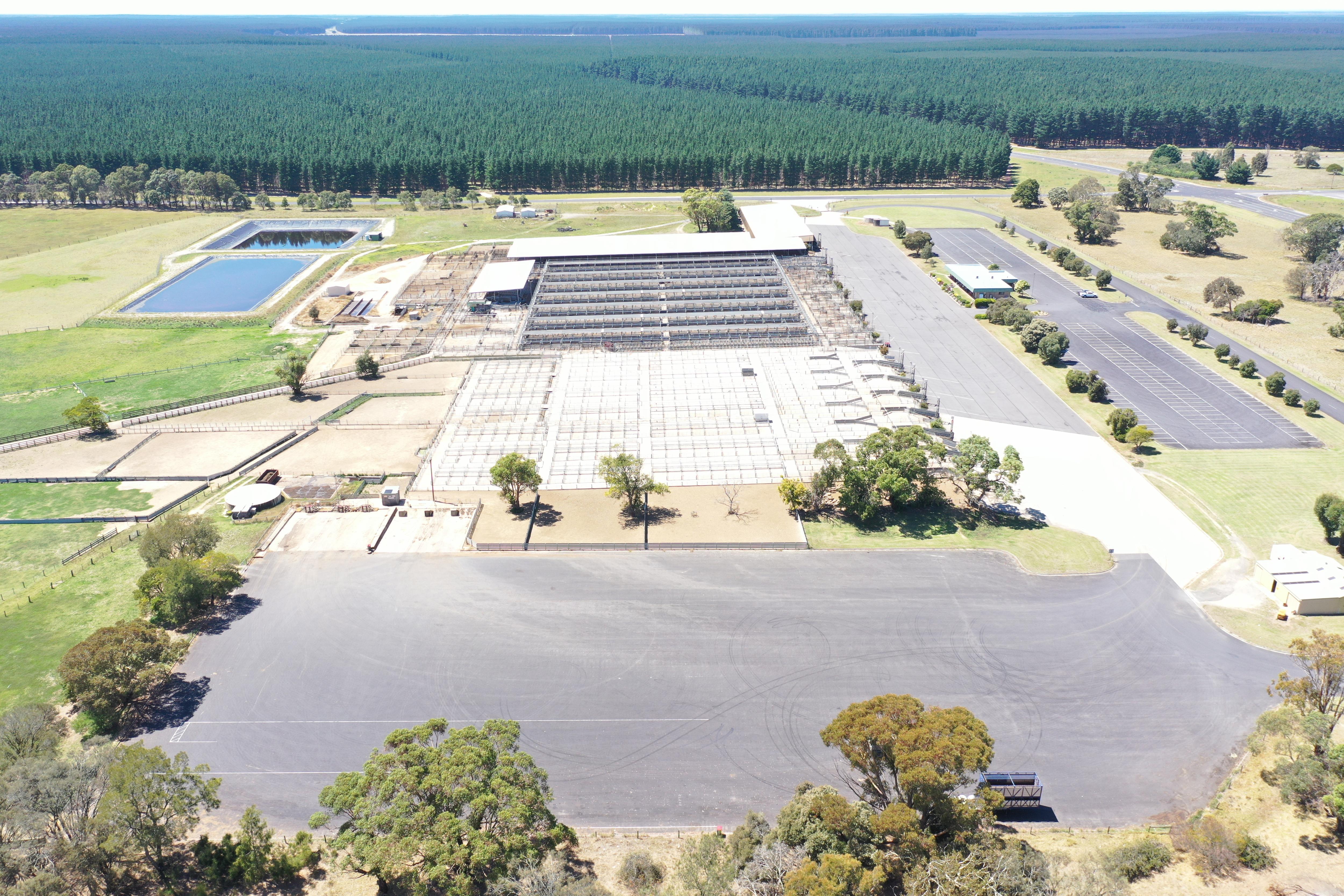 Mount Gambier Saleyards upgrade in doubt as Labor rebrands regional