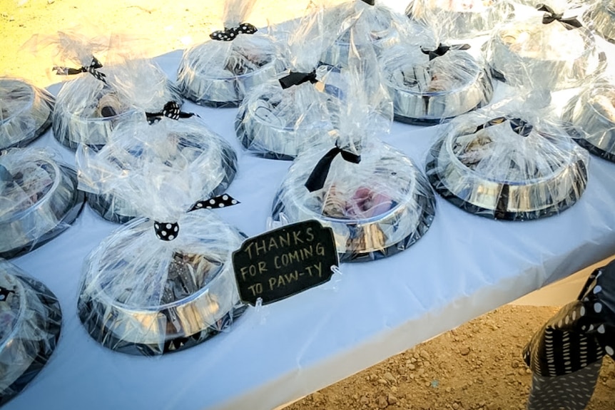 Dog bowls filled with treats and wrapped in cellophane lined up on a table.