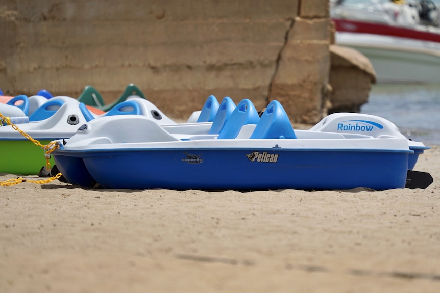 A pedal boat on the edge of Lake Bonney.