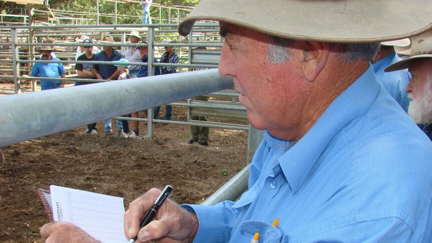 There are signs the cattle market in Queensland is already filling up as producers continue to wait for rain