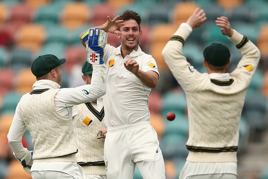 Mitch Marsh celebrates a wicket