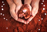 An image of a child and adult's hands holding red dirt with a superimposed picture of a pink, heart-shaped diamond.