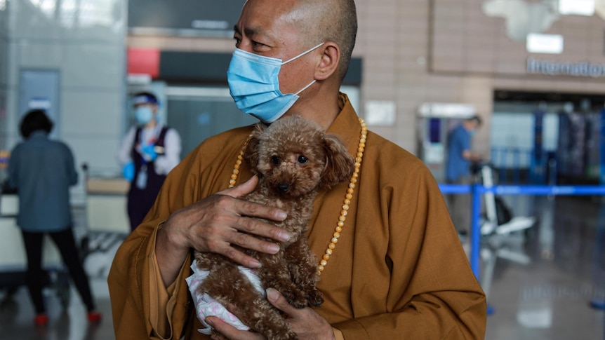 Zhi Xiang holds a small dog affectionately in his arms at the airport while wearing a face mask