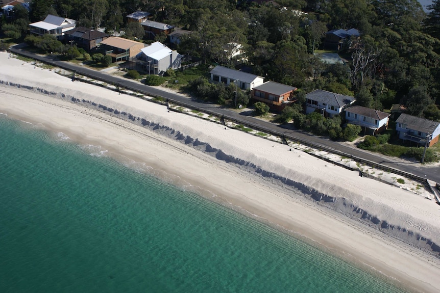 An aerial shot of a pristine white-sand beach with turquoise water and houses amid bush near a road behind the sand dune.