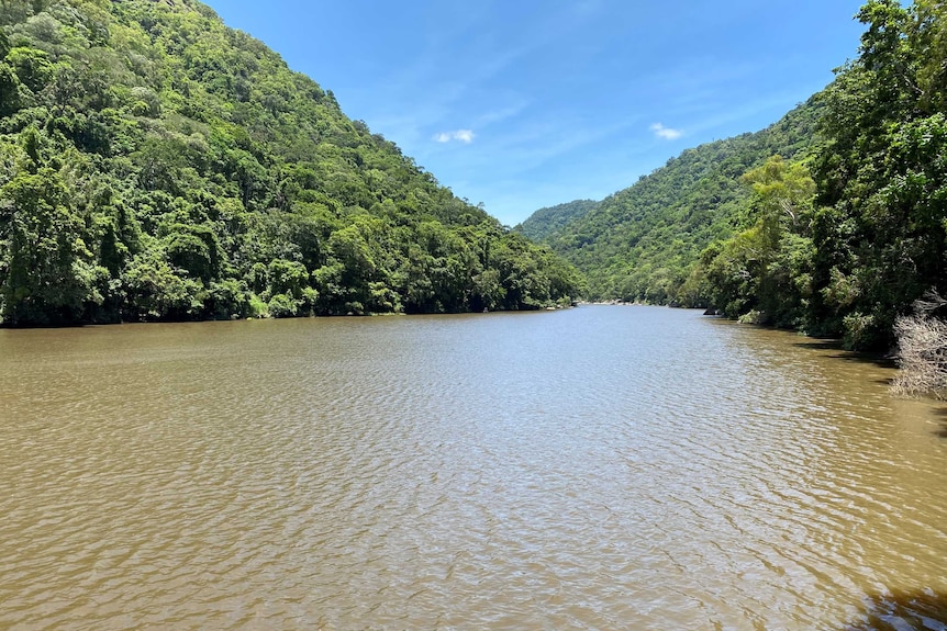 A wide shot of a brown river banked with dense vegetation.