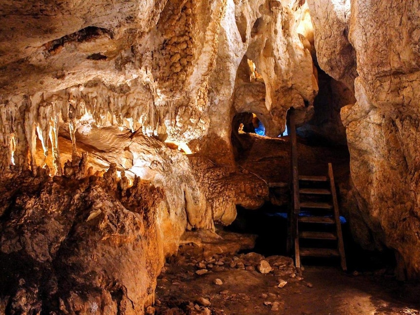 A cave lit up with a ladder going from one level to another