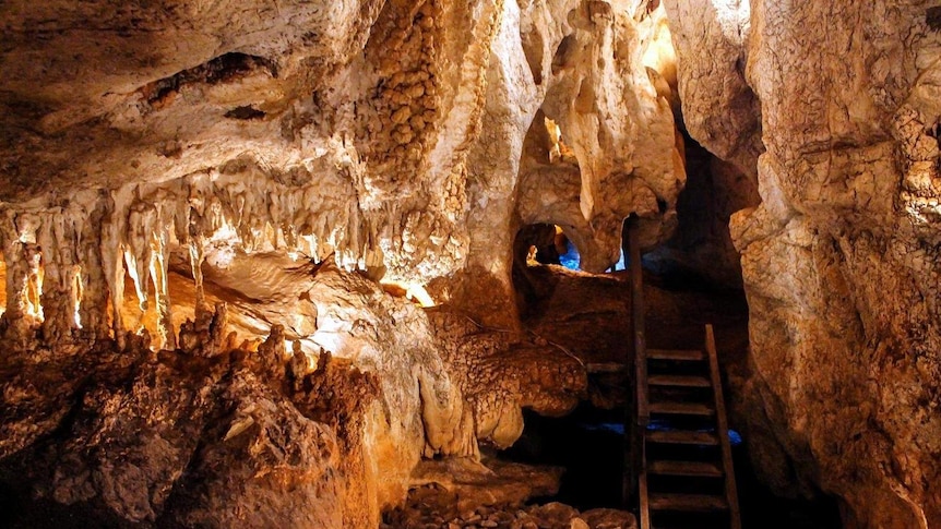 A cave lit up with a ladder going from one level to another