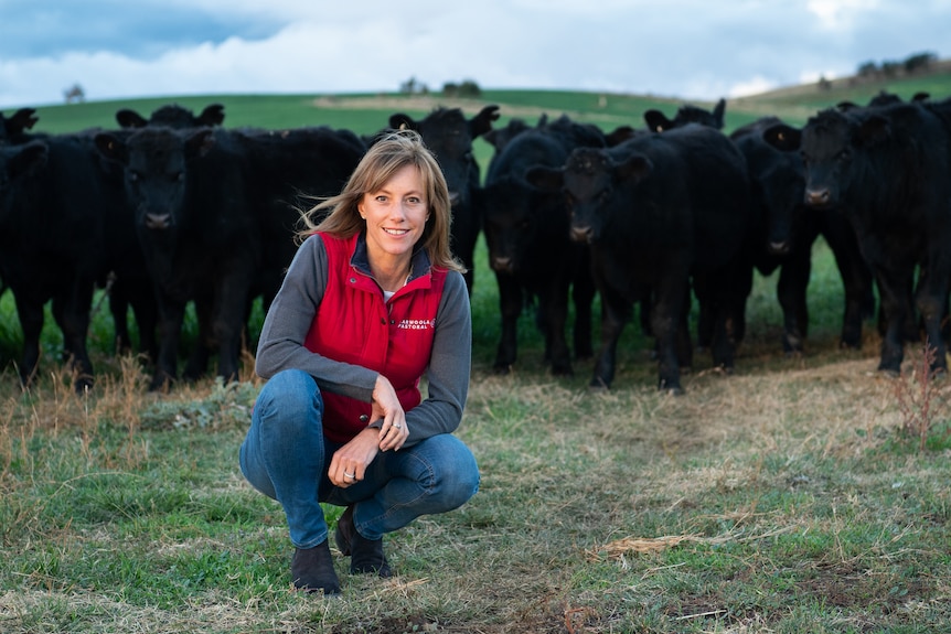 A women crouches in front of a small herd of black angus cattle