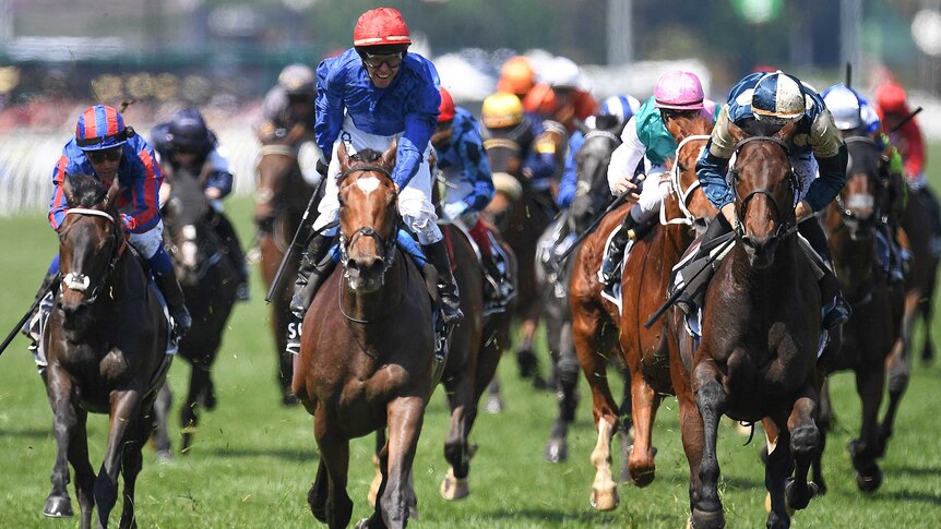Kerrin McEvoy rides Cross Counter (C) to victory in the Melbourne Cup at Flemington.