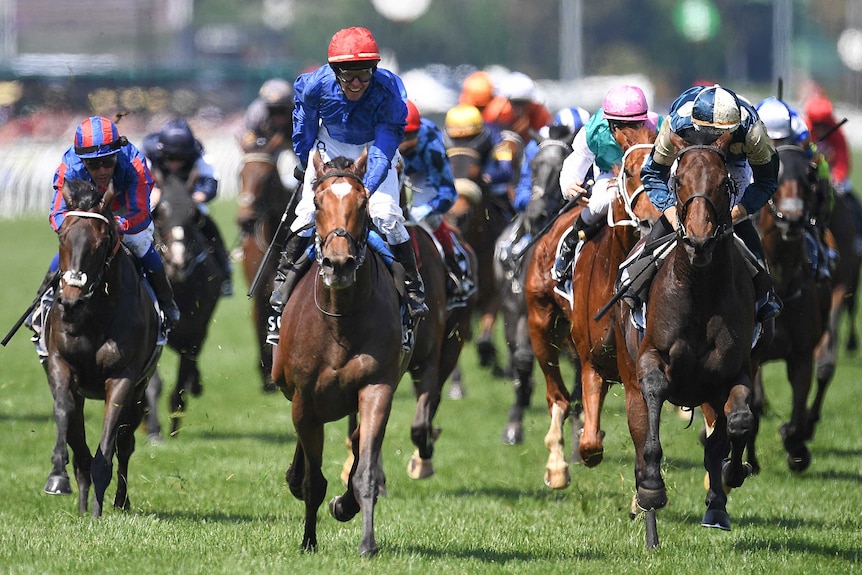 Kerrin McEvoy rides Cross Counter (C) to victory in the Melbourne Cup at Flemington.