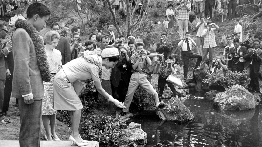 Then Prince Akihito and Princess Michiko throw food into an ornamental lake as a throng of photographers and onlookers watch.