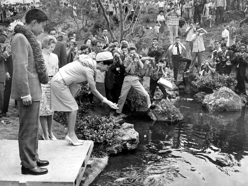 Then Prince Akihito and Princess Michiko throw food into an ornamental lake as a throng of photographers and onlookers watch.