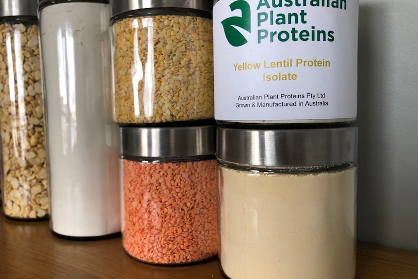 Photo of pulse crops made into plant protein
