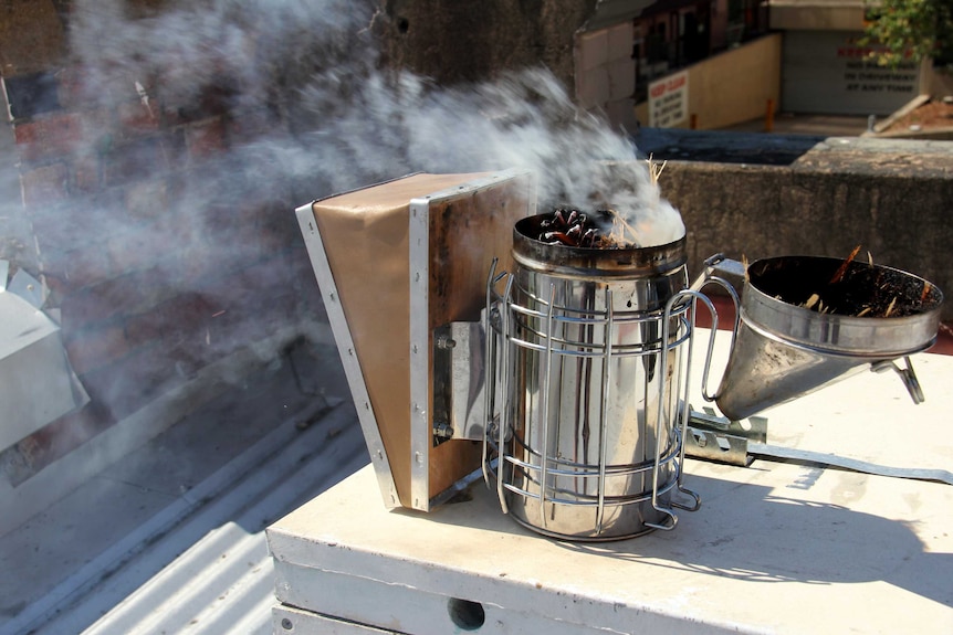 A bee smoker sits on a rooftop beehive.