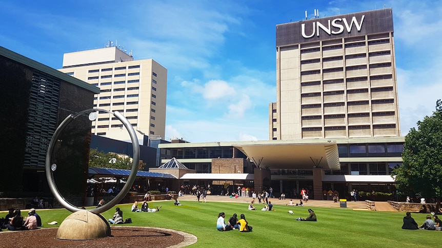 Students sit on grassed area with large building with UNSW sign overlooking