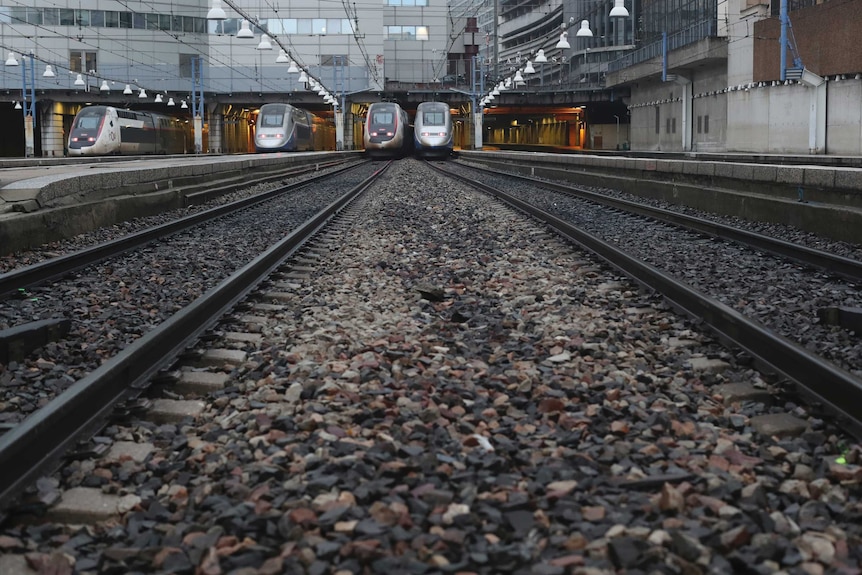 High-speed trains are seen parked in a station in France.