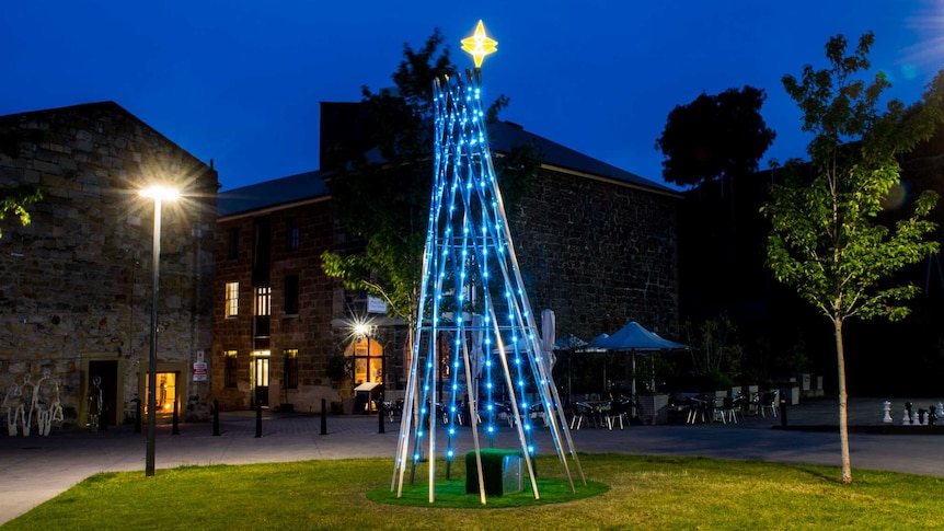 Salamanca's 2015 Christmas tree