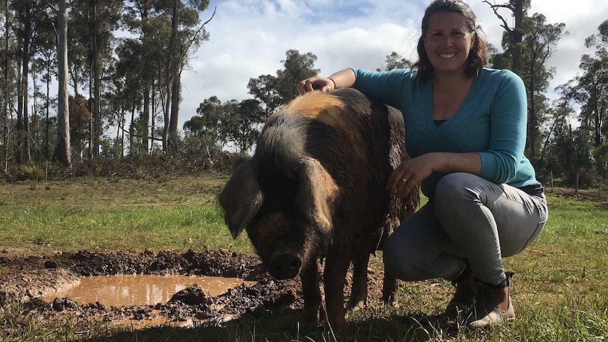 Lisa Harper crouches down beside one of her pigs at Cornerstone Farm in north-east Tasmania.