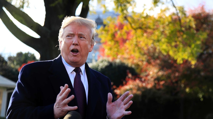 Donald Trump holds his hands out while speaking in front of a microphone