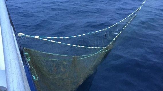Ghost nets under the spotlight as Australian Fisheries Management