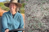Composite photo of Fiona Murdoch (left) and wire-stem chickweed growing (right).