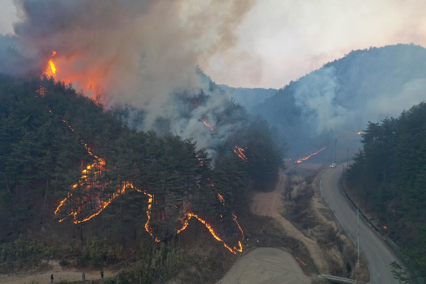 An aerial photo of fire burning through forested hills. 