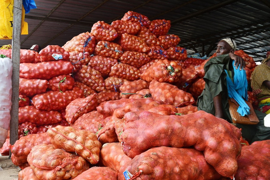 A man sitting on and around a large pile of sacks filled with onions 
