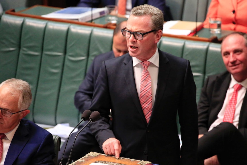 Christopher Pyne points with his right hand as he addresses the Parliament
