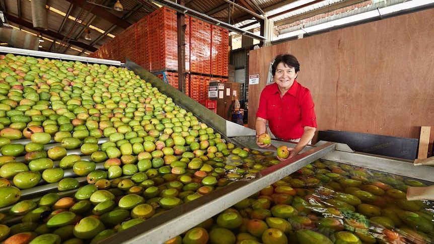 Marie Piccone with Manbulloo Mangoes