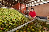 Marie Piccone with Manbulloo Mangoes