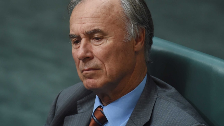 Liberal backbench MP John Alexander listens intently while sitting in the House of Representatives during Question Time.