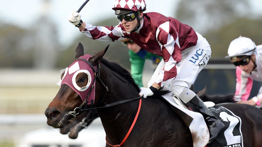 Tim Bell rides Tinto to victory in Queensland Oaks